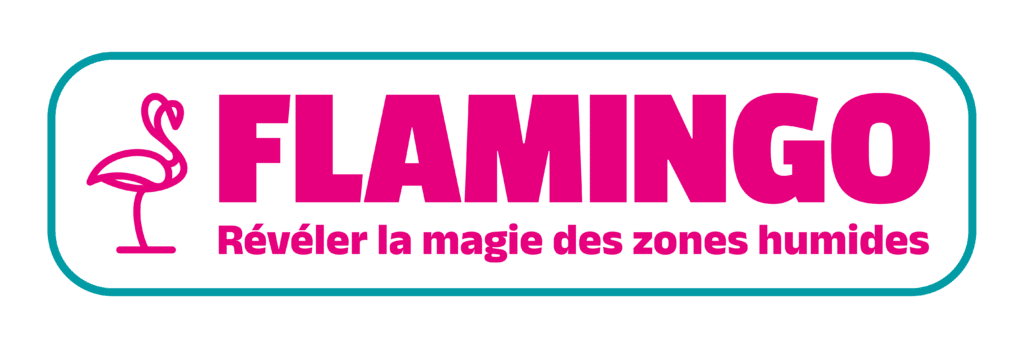 logo Flamingo