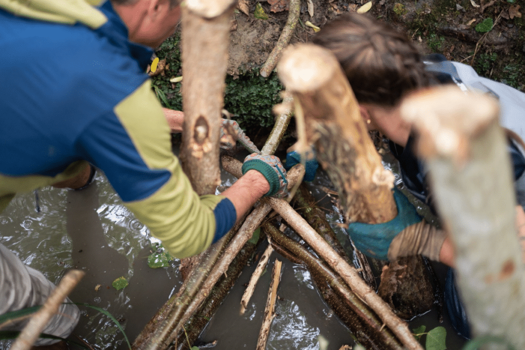 Des bénévoles assemblent un ouvrage en branches dans le ruisseau de la Thomaze