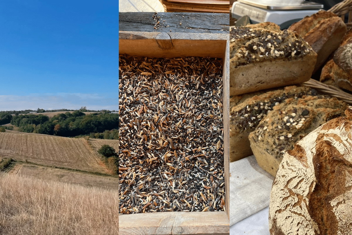 Ferme des Ramades