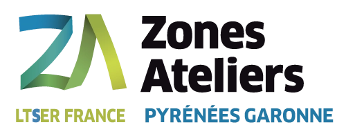 Logo Zone Pygar