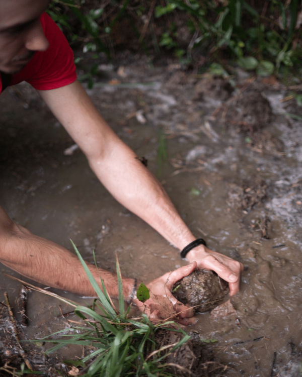 Des bénévoles assemblent un ouvrage en branches dans le ruisseau de la Thomaze