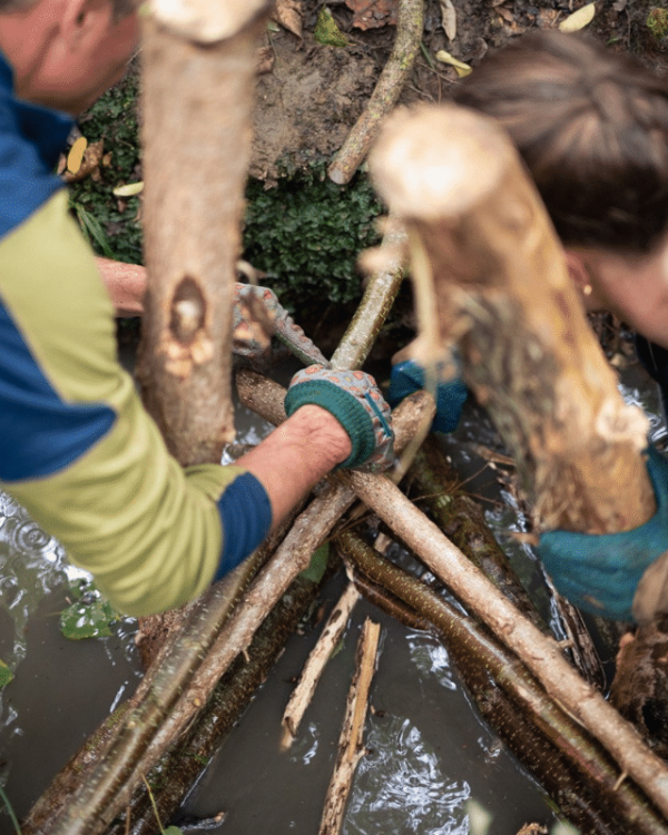 Des bénévoles assemblent un ouvrage en branches dans le ruisseau de la Thomaze