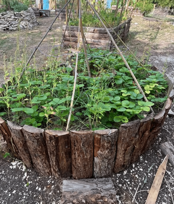 Le jardin au Vallon de Bébinet